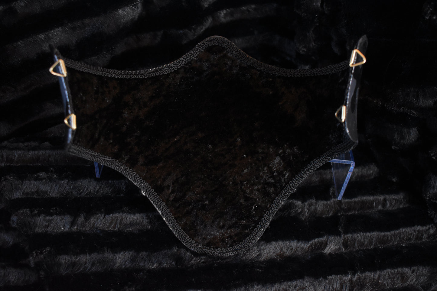 Dinosaur Bone Corset