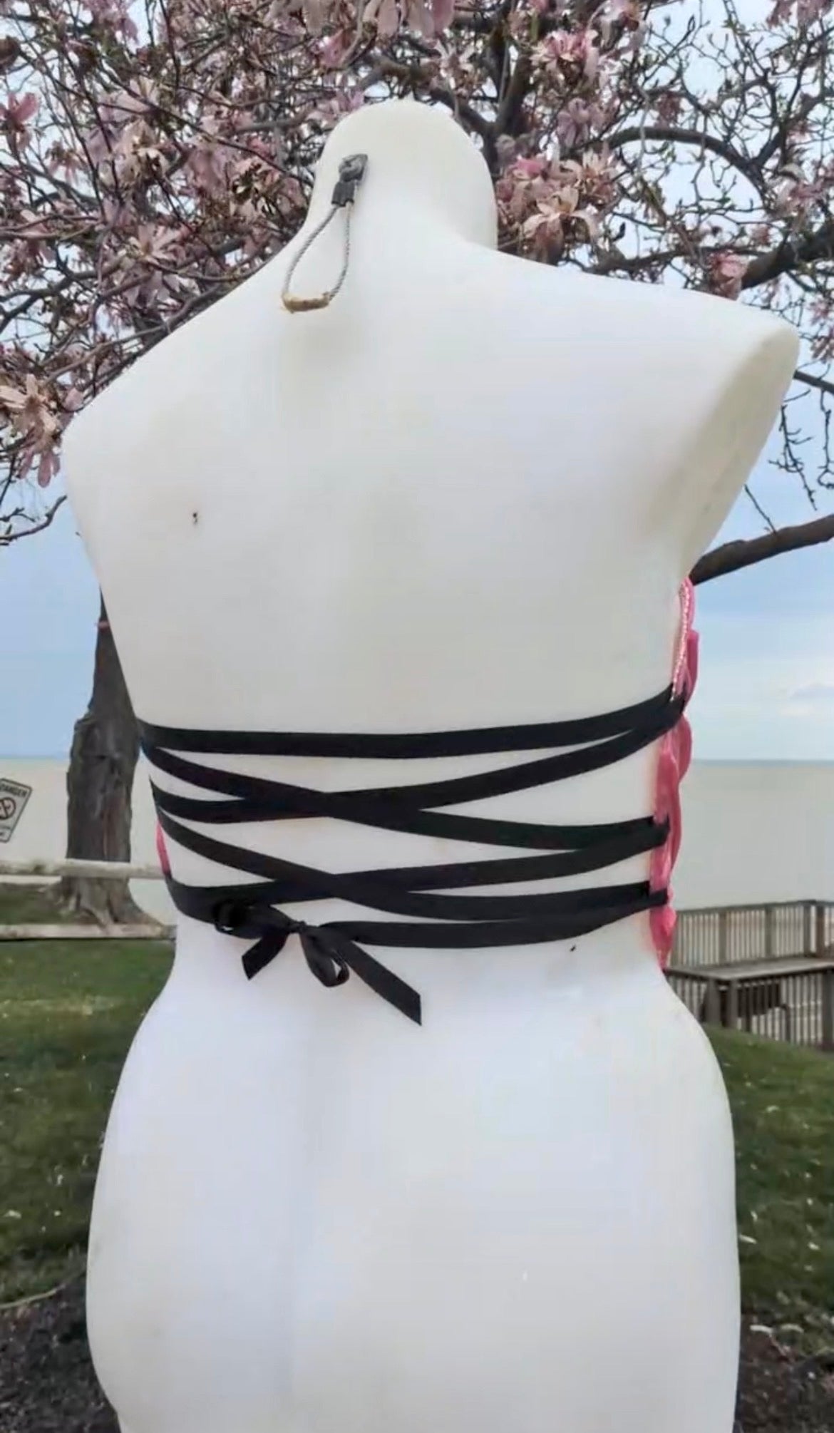 F@*k  I.C.E Corset