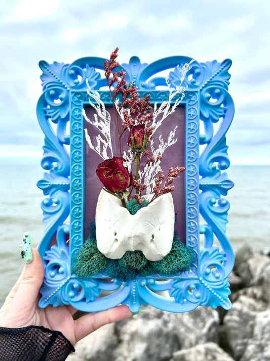 Pastel oddity frame