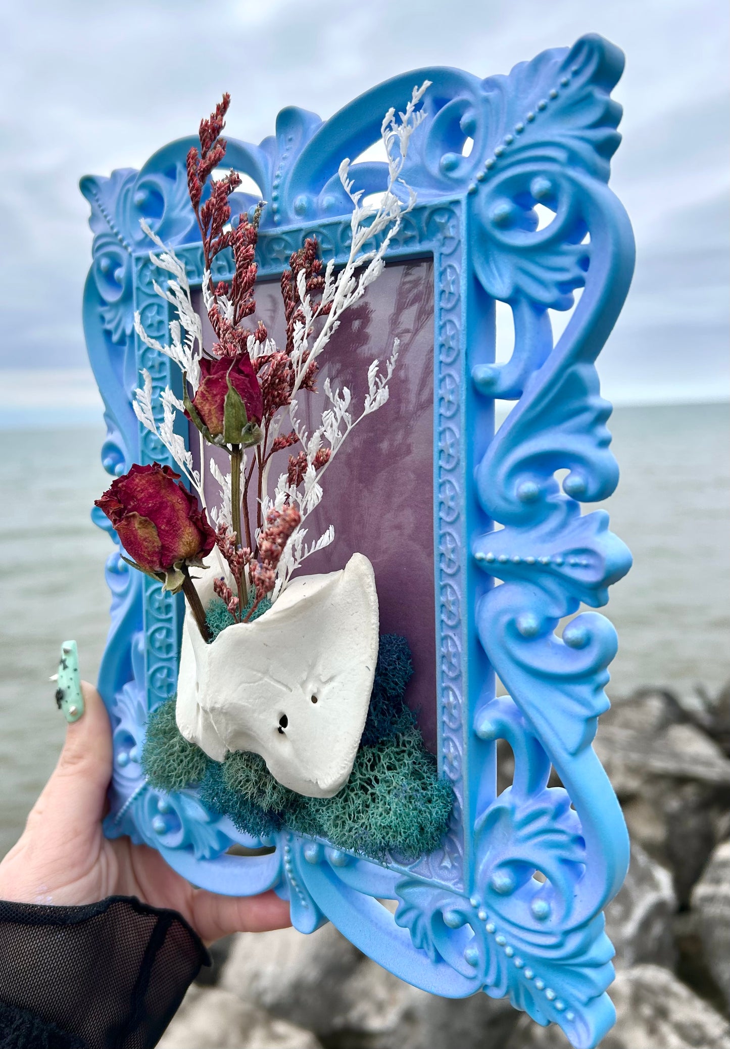 Pastel oddity frame