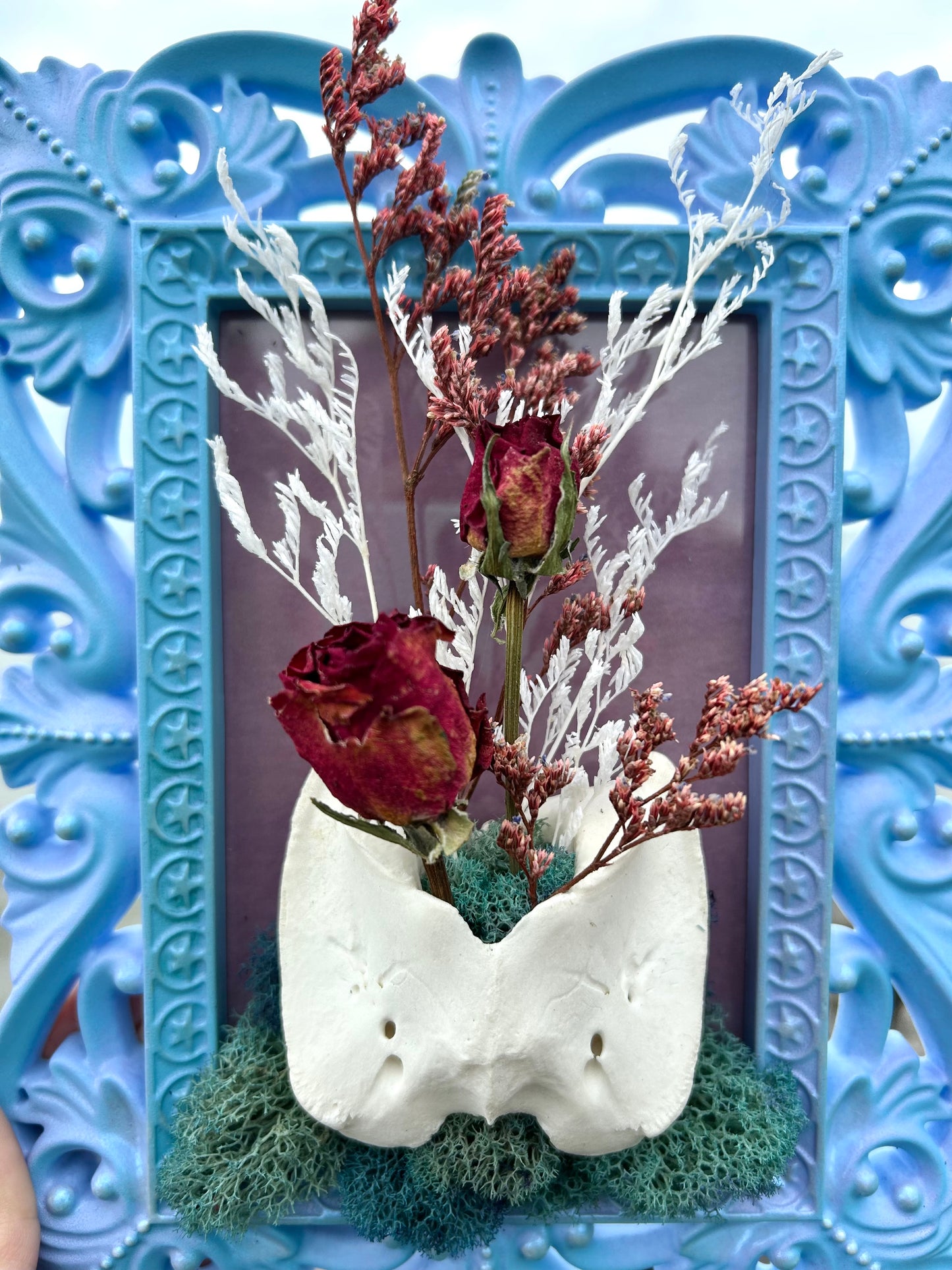 Pastel oddity frame