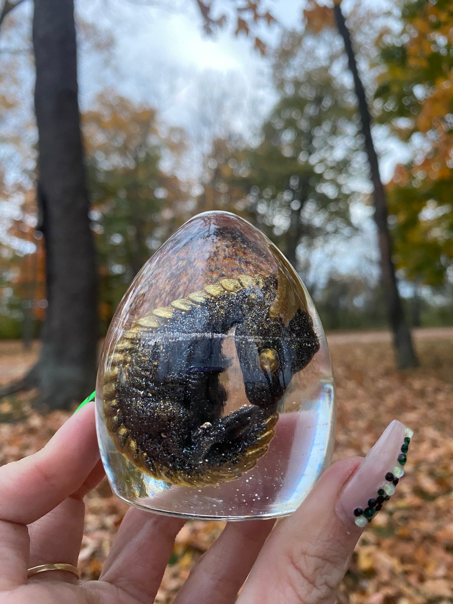 Storm dragon egg