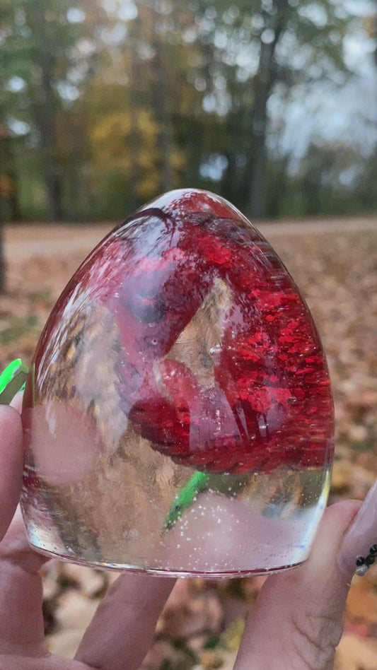 Flame dragon egg